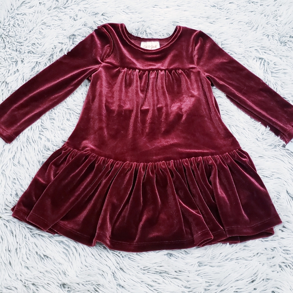 Cat and Jack velour dress